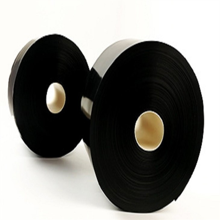 Electric Conductive Film